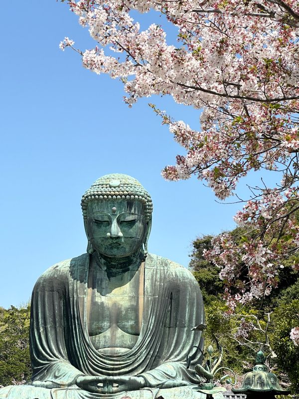 日本・鎌倉「伊豆・鎌倉　2024.04」の写真