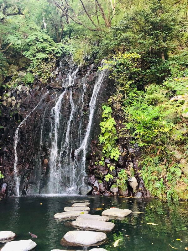日本・神奈川県「足柄♡2021」の写真