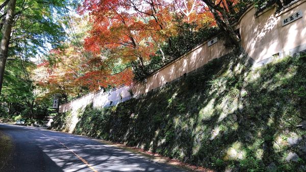 日本・神奈川県「湯河原♡2021」の写真