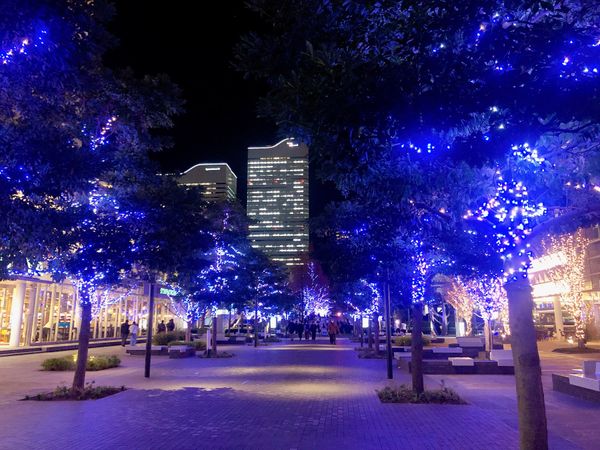 日本・神奈川県「みなとみらい♡2023」の写真