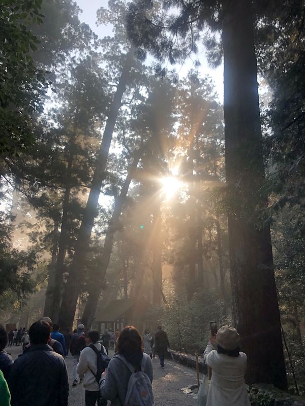 日本・伊勢神宮「和歌山県・三重県♡2023」の写真