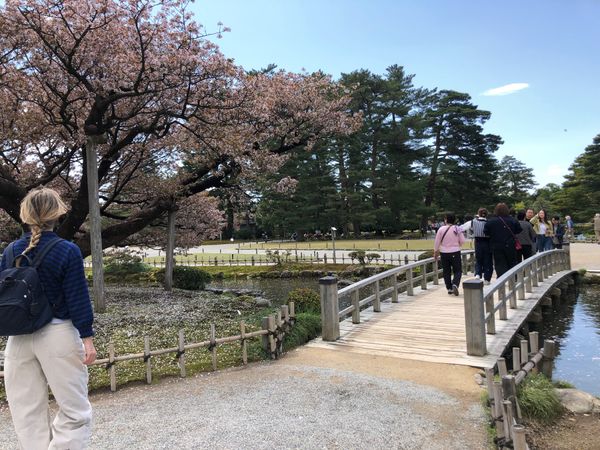日本「金沢旅行2nd♡2024」の写真