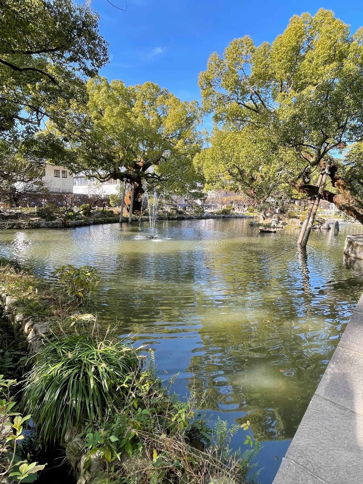 一枚目、アジフライ絶品！！！