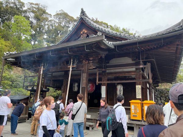 日本・京都府「京都旅行」の写真：金閣寺