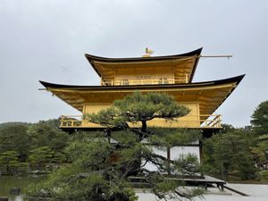 金閣寺