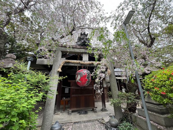 日本・京都府「京都旅行」の写真