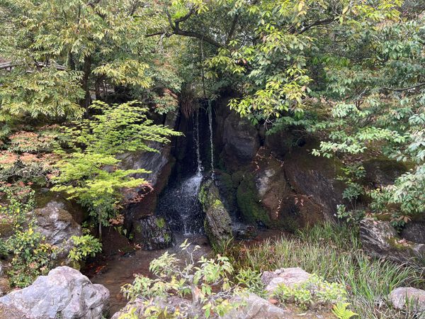 日本・京都府「京都旅行」の写真：金閣寺