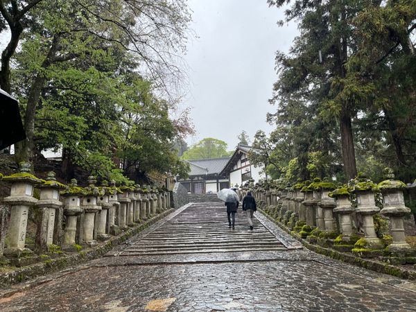 日本・奈良県「奈良旅行」の写真