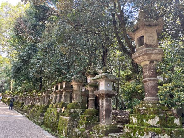 日本・奈良県「奈良旅行」の写真