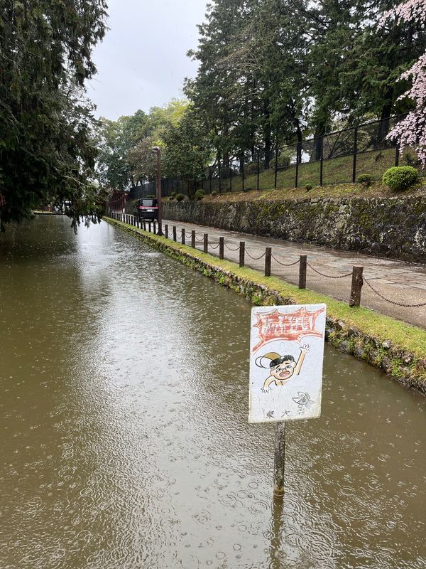 日本・奈良県「奈良旅行」の写真