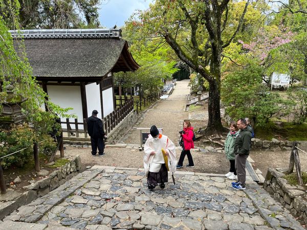 日本・奈良県「奈良旅行」の写真
