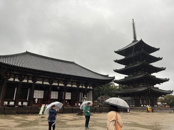 日本・奈良県「奈良旅行」の写真