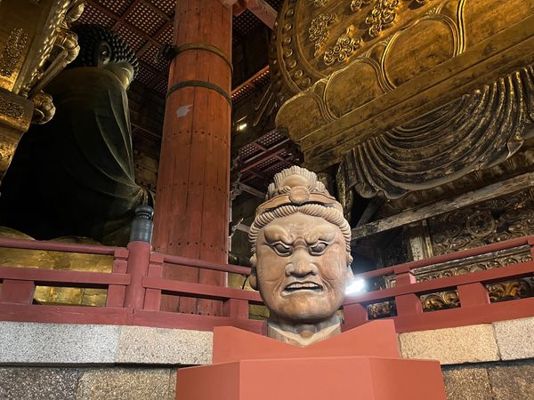 日本・奈良県「奈良旅行」の写真