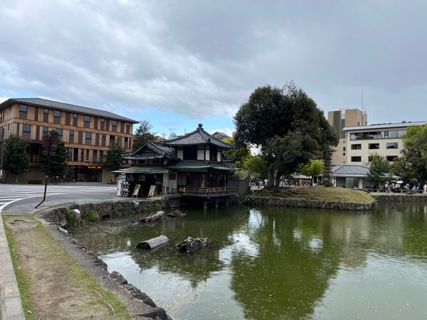 日本・奈良県「奈良旅行」の写真