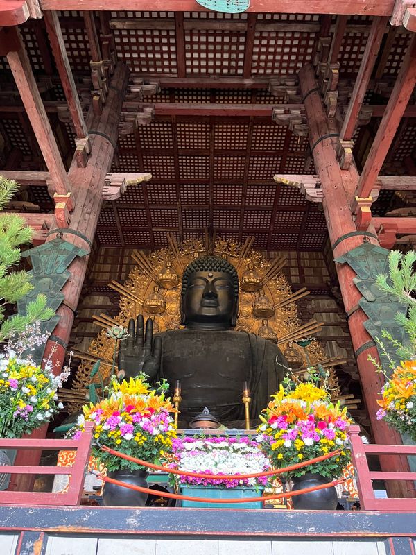 日本・奈良県「奈良旅行」の写真