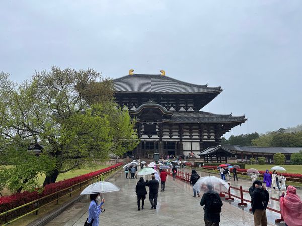 日本・奈良県「奈良旅行」の写真