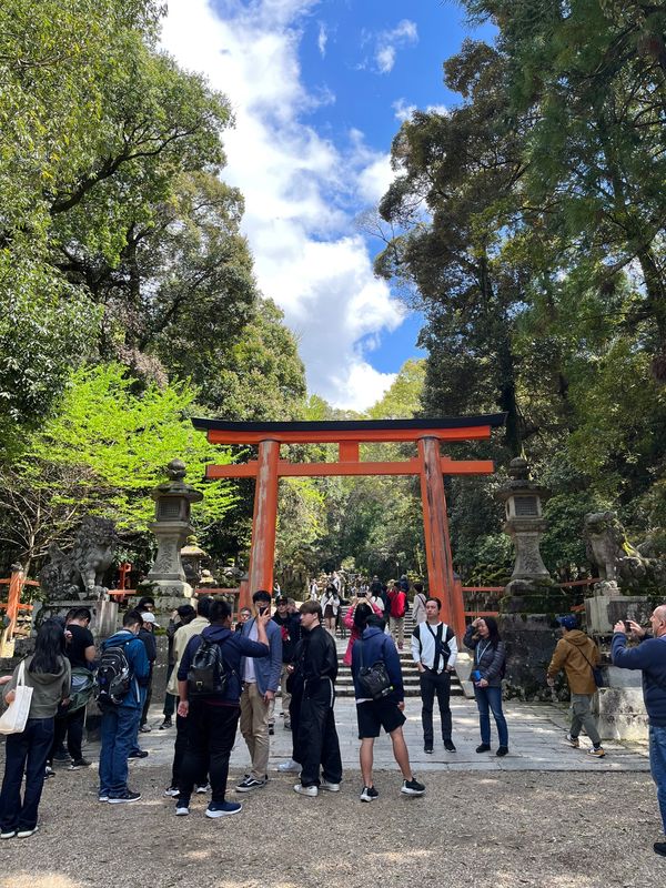 日本・奈良県「奈良旅行」の写真