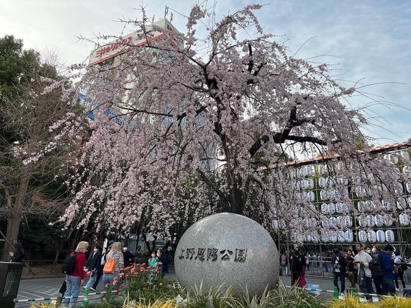 日本・東京都「東京旅行」の写真