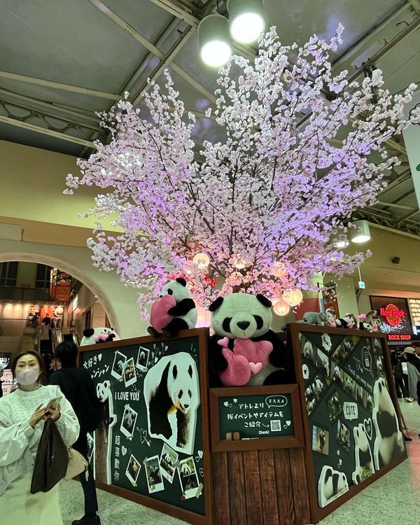 日本・東京都「東京旅行」の写真