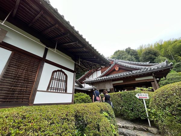 日本・京都府「京都旅行」の写真