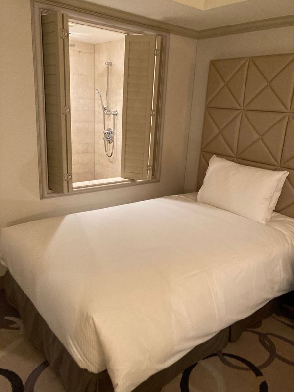 日本・東京都「都内で宿泊」の写真：ヒルトンお台場に宿泊。部屋からレインボー...