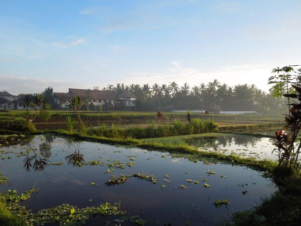 インドネシア・バリ島「家族でバリ島〜ジョクジャカルタの旅」の写真：旅の前半、バリ島ではウブドのヴィラに家族...