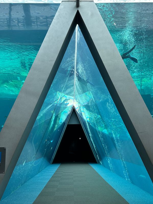 日本・いわき市「福島・いわき　2024.04」の写真