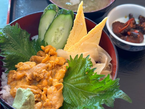 日本・いわき市「福島・いわき　2024.04」の写真