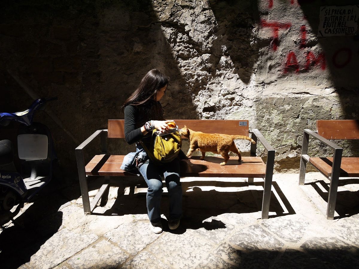 ハンガリーから飛行機でイタリアのナポリへ✈︎
本場のピザ、フニコラーレ(ケ...