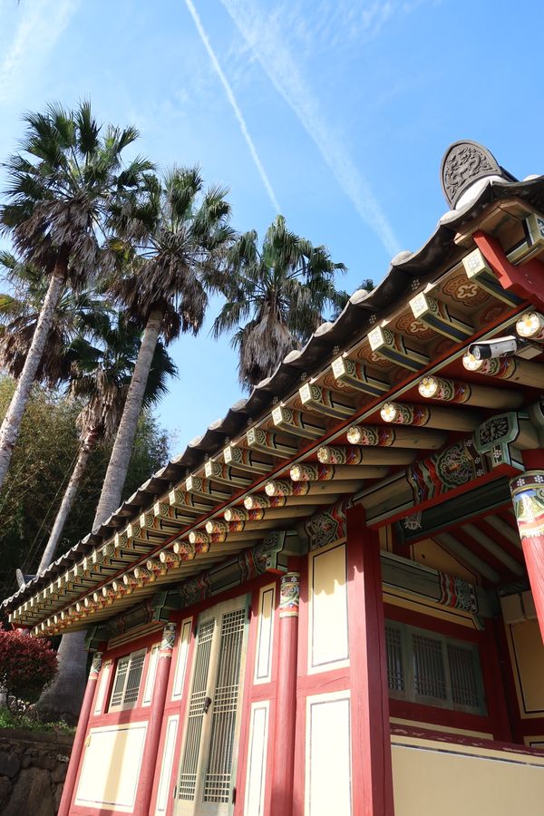 大韓民国 (韓国)・済州島「済州島グルメ旅🇰🇷」の写真：さらにローカルバスを乗り継ぎ、薬泉寺へ。...