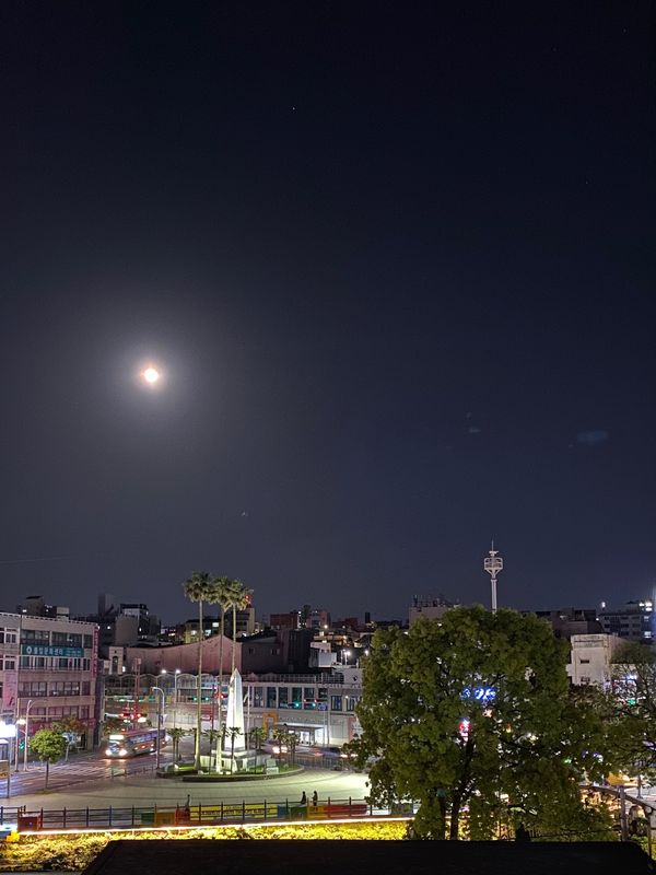 大韓民国 (韓国)・済州島「済州島グルメ旅🇰🇷」の写真：4月24日Tway で関空→済州へ。
東...