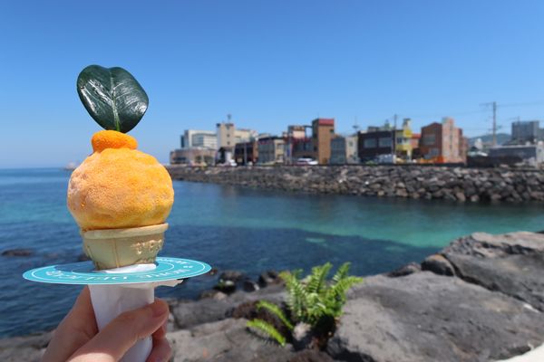 大韓民国 (韓国)・済州島「済州島グルメ旅🇰🇷」の写真：ハルラボンアイスクリームを食べながら済州...