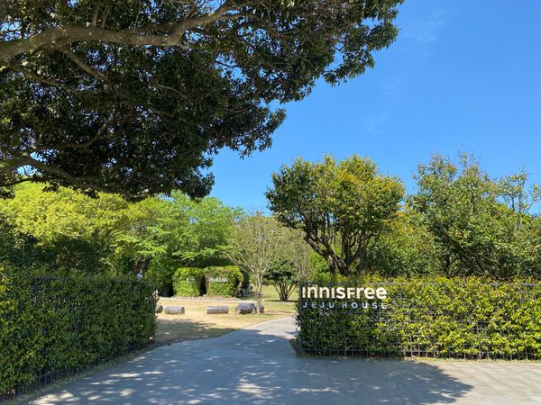 大韓民国 (韓国)・済州島「済州島グルメ旅🇰🇷」の写真：朝食の後はローカルバスに乗って済州島の西...