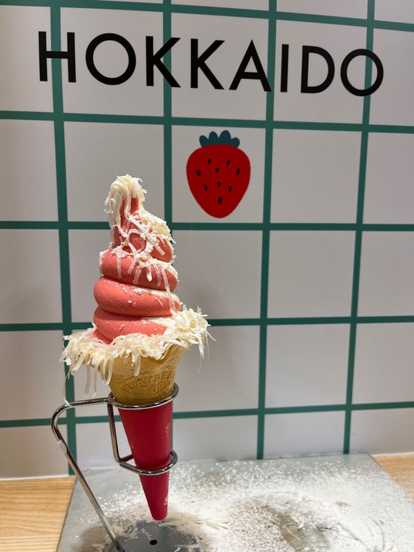 日本・北海道「北海道　トマム旅」の写真