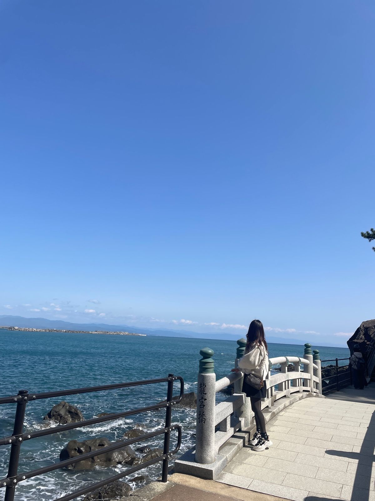 桂浜②
