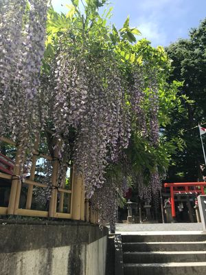 福島県郡山市
安積国造神社