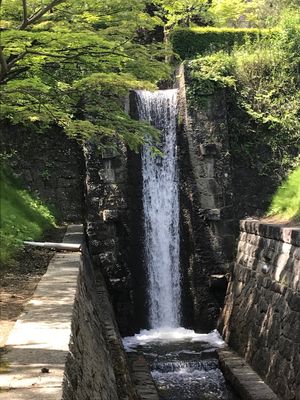 福島県郡山市 
21世紀記念公園麓山の杜