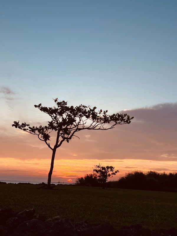 日本・宮古島「宮古島」の写真