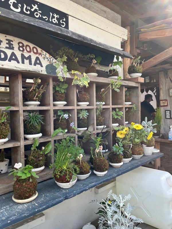 日本・茨城県「茨城栃木🚗」の写真