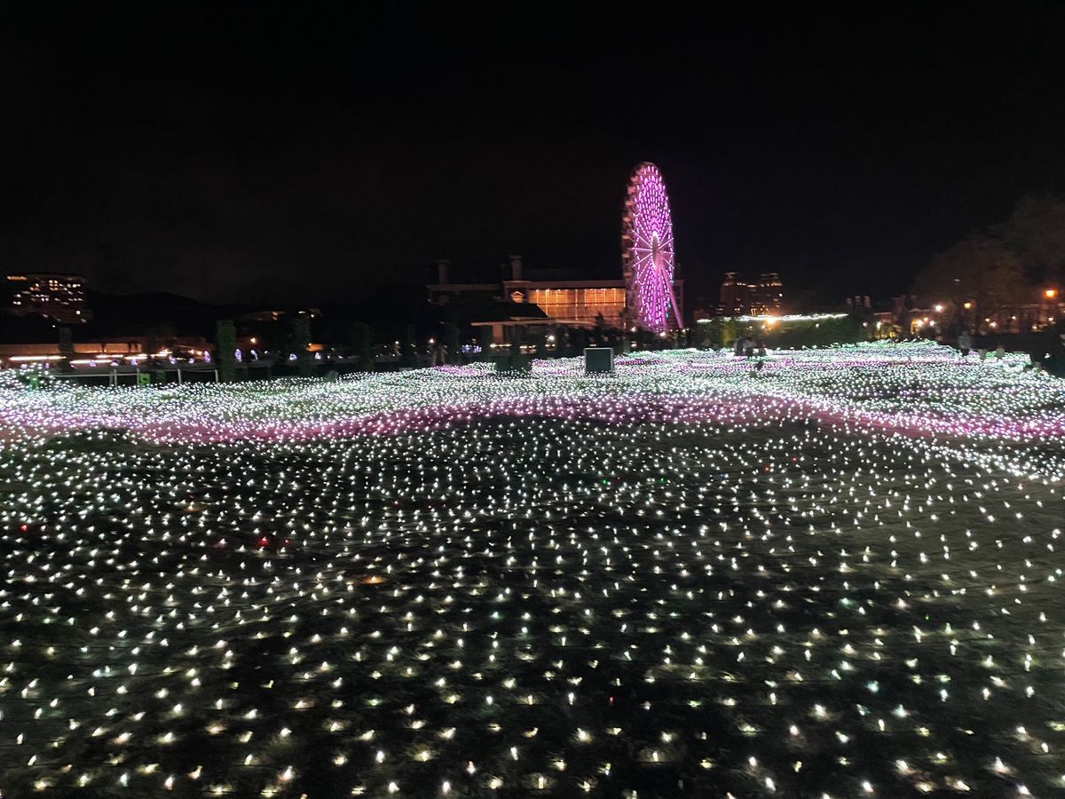 長崎の美味しいもの巡り♡
吉宗の茶碗蒸し、ちゃんぽん、トルコライス、角煮ま...