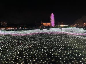 長崎の美味しいもの巡り♡
吉宗の茶碗蒸し、ちゃんぽん、トルコライス、角煮ま...