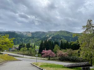 この日の宿は明日の立山室堂行きに備えて、立山山麓の温泉旅館へ。残念ながらホ...