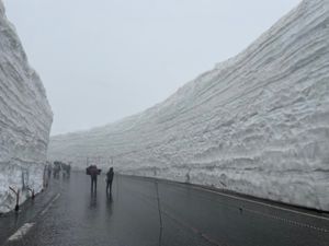 翌日はホテルからバスに乗って立山室堂へ雪の大谷を見に行きましたが、生憎のお...