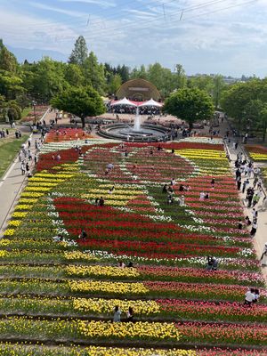 会場には「雪の大谷」を模した「花の大谷」がありました。タワーから眺めるチュ...