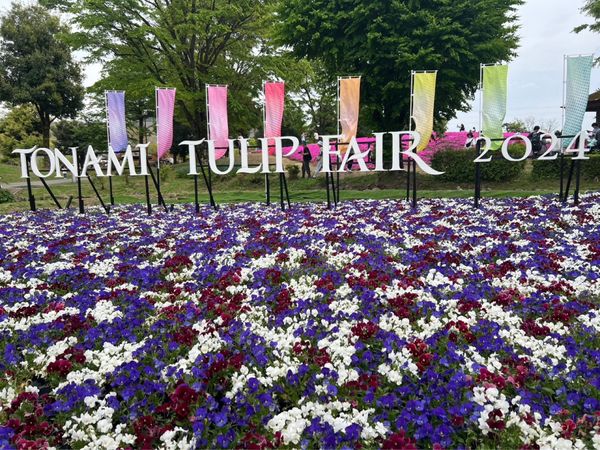 日本・富山県「2024 雪の大谷・宇奈月温泉家族旅行」の写真：砺波チューリップ公園で開催中のチューリッ...