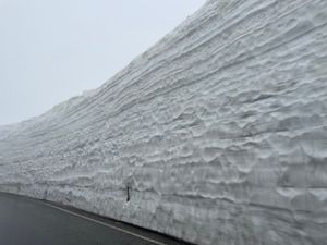 翌日はホテルからバスに乗って立山室堂へ雪の大谷を見に行きましたが、生憎のお...