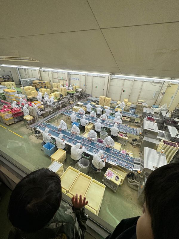日本・山梨県「古民家宿 るうふ 丘之家 / 山梨県」の写真：2日目はあいにくの雨。フルーツ公園に行こ...