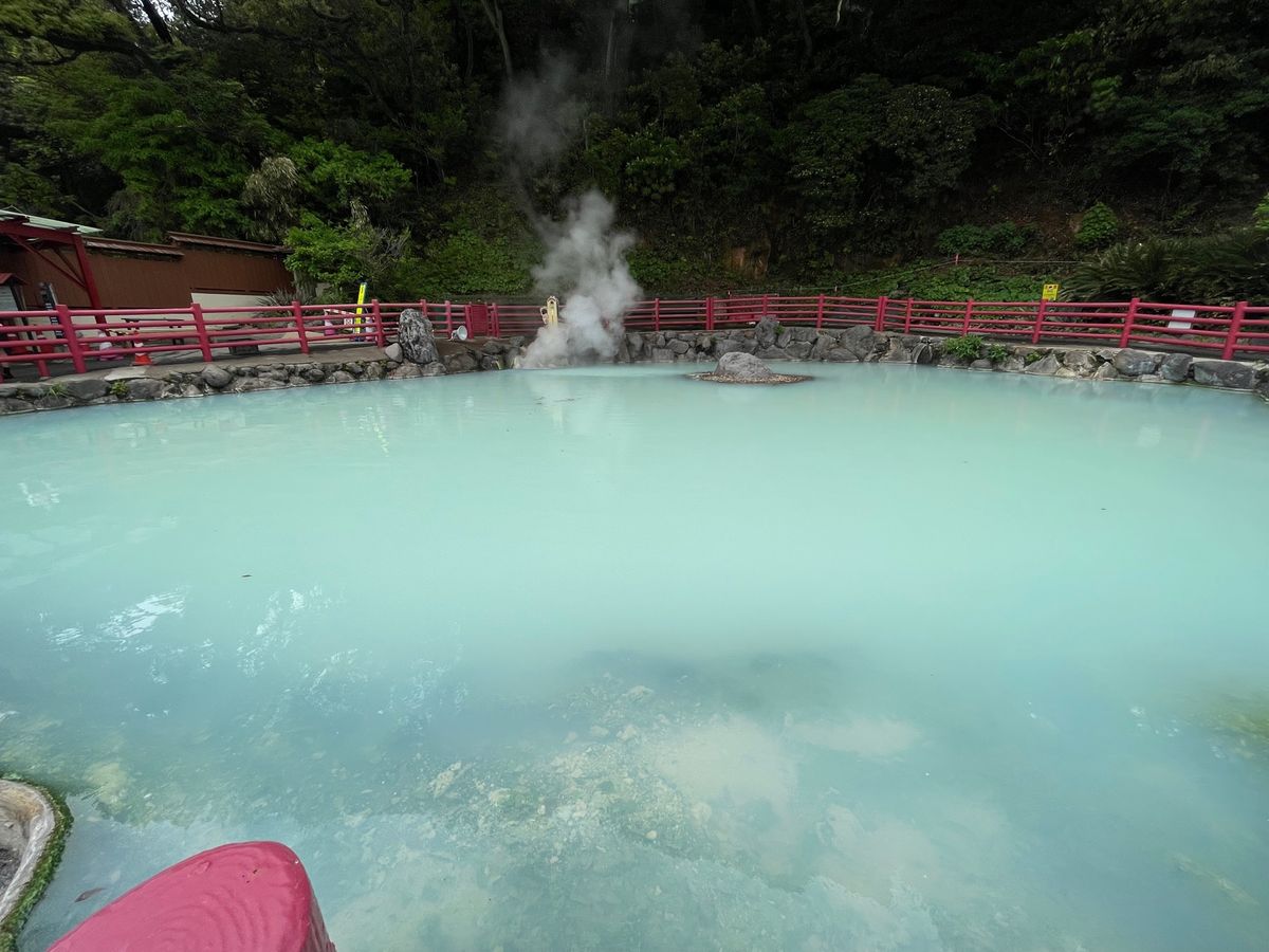 地獄温泉巡り♨️
白池地獄：熱帯魚の水族館が面白かった
鬼山地獄：ワニたく...