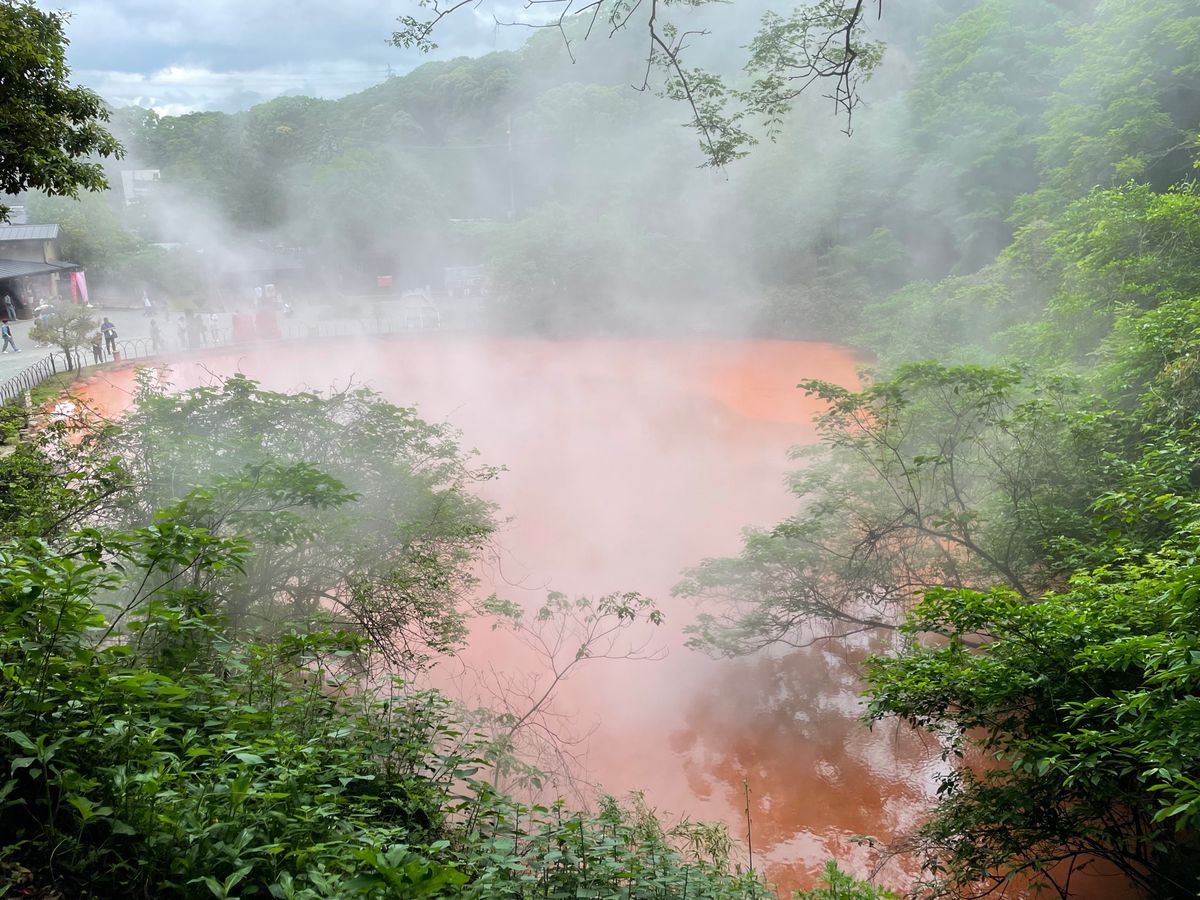 地獄温泉巡り♨️
白池地獄：熱帯魚の水族館が面白かった
鬼山地獄：ワニたく...