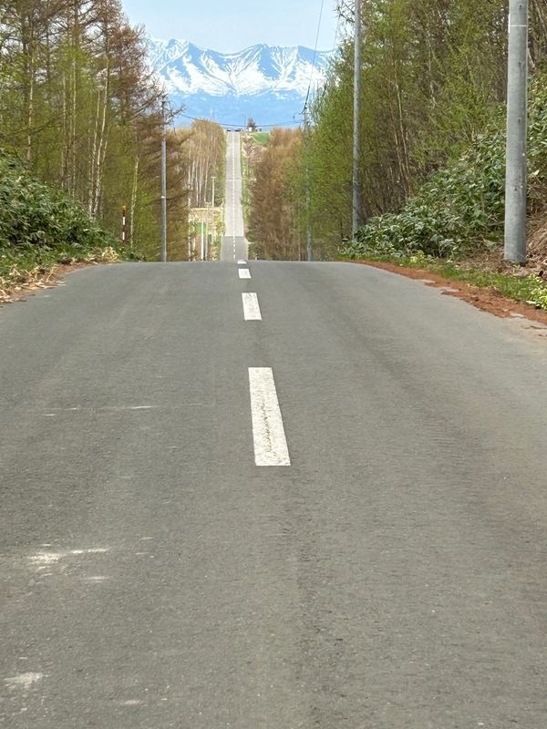 日本・北海道「北海道」の写真